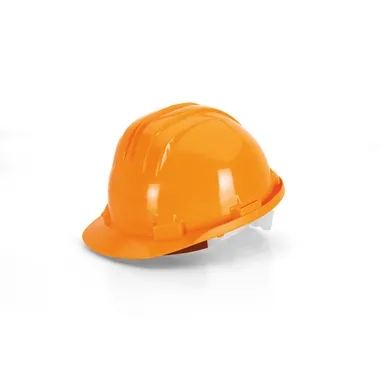 HEAD PROTECTION